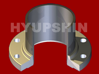 Jinan Hyupshin Flanges Co., Ltd